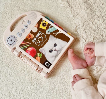 포토 사운드 500